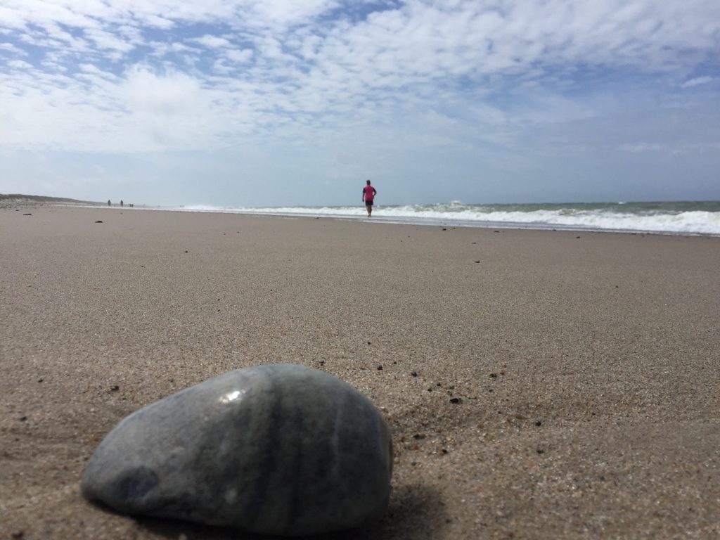 Urlaub in Vrist an der Nordseeküste