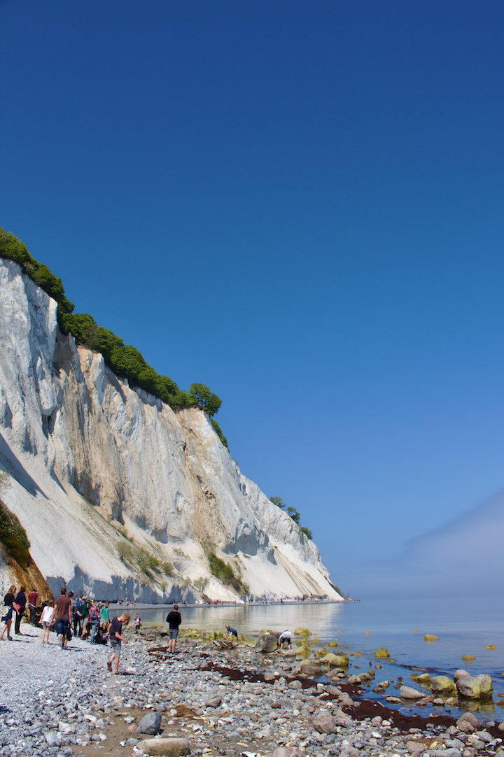 Die Kreidefelsen von Møn in Dänemark